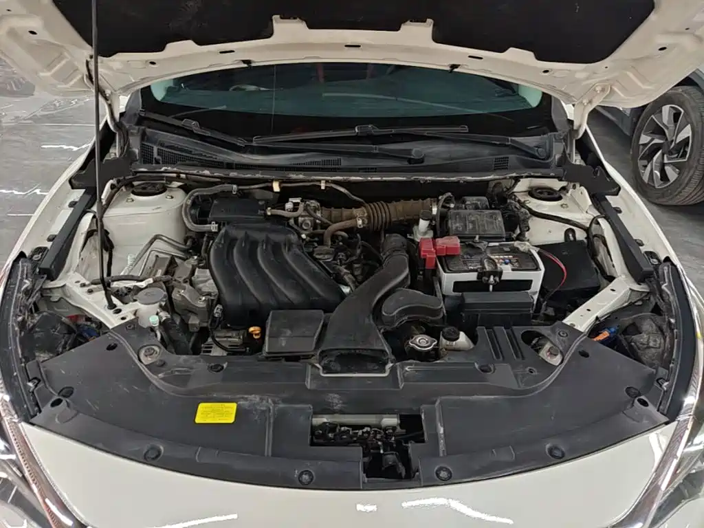 Venucia D60 — миниатюра 20