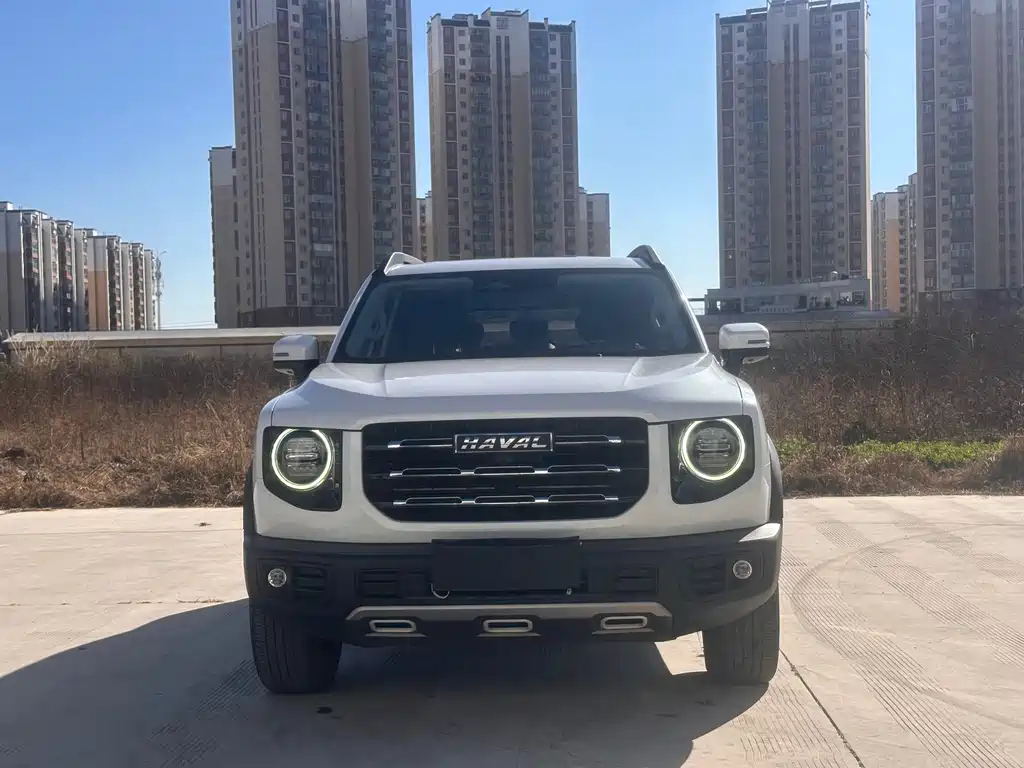 HAVAL BIG DOG