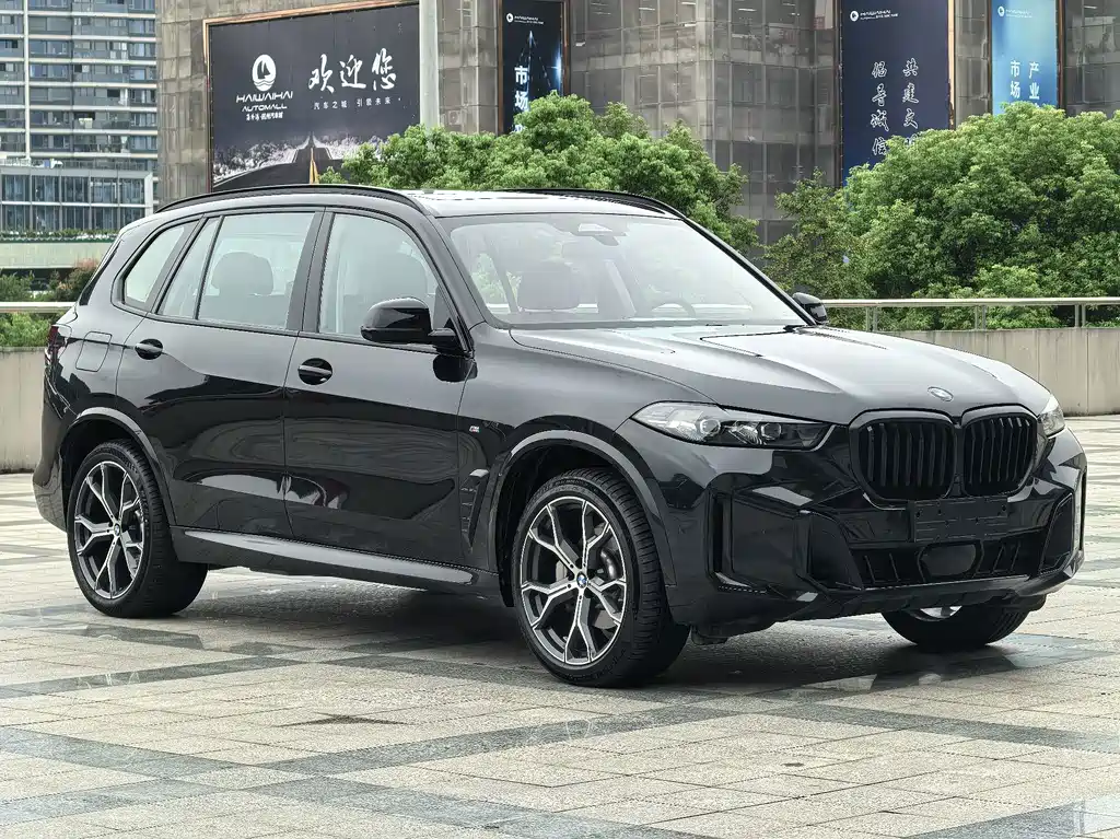 BMW X5 — миниатюра 3