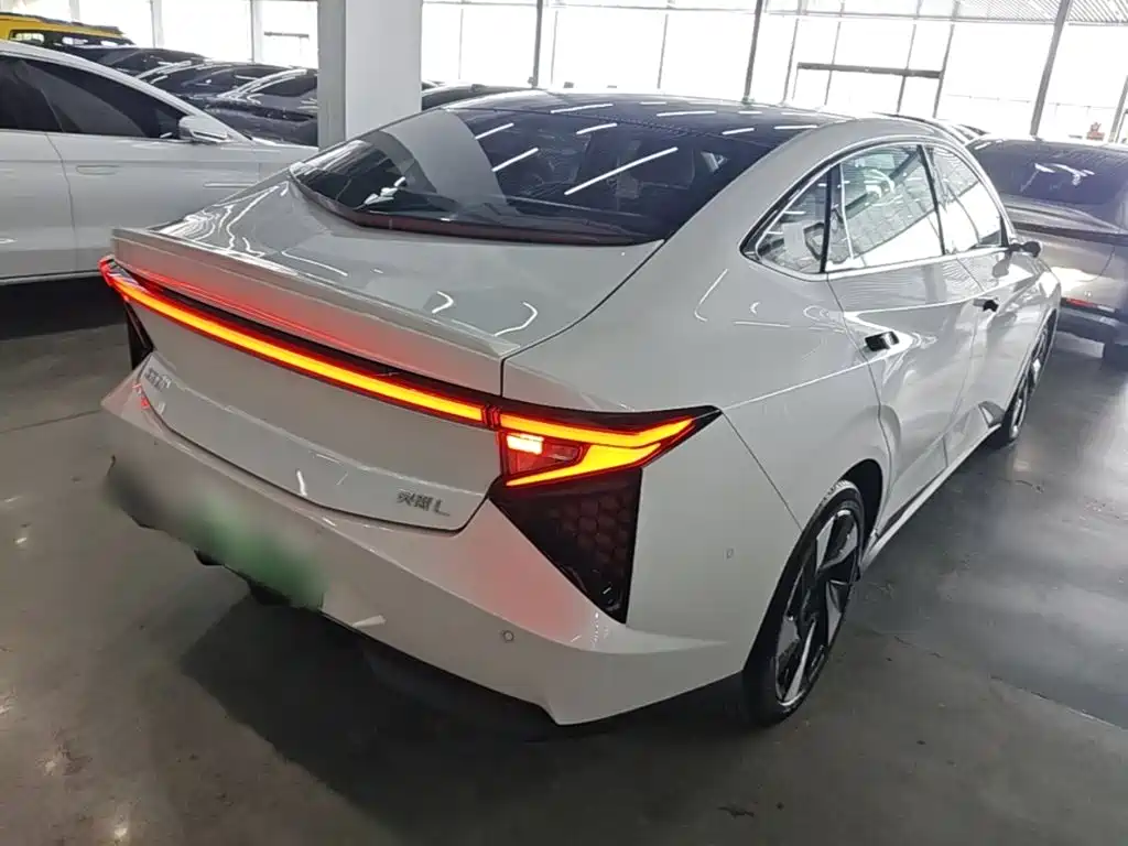 Lingxi Lingxi L — миниатюра 7