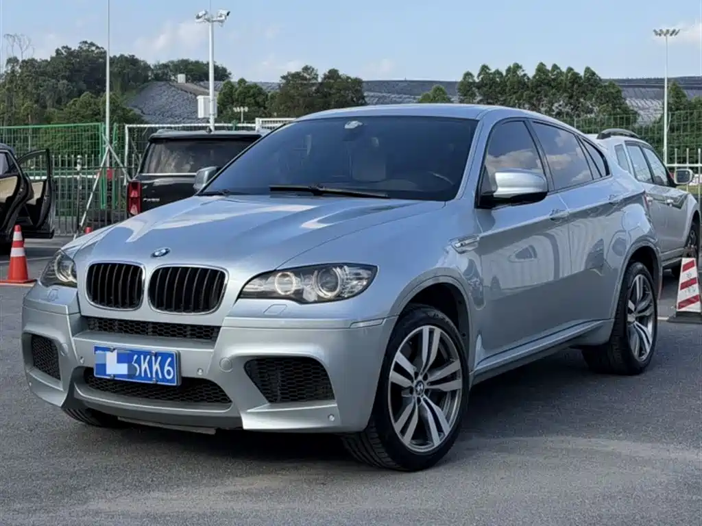 Купить BMW X6 M