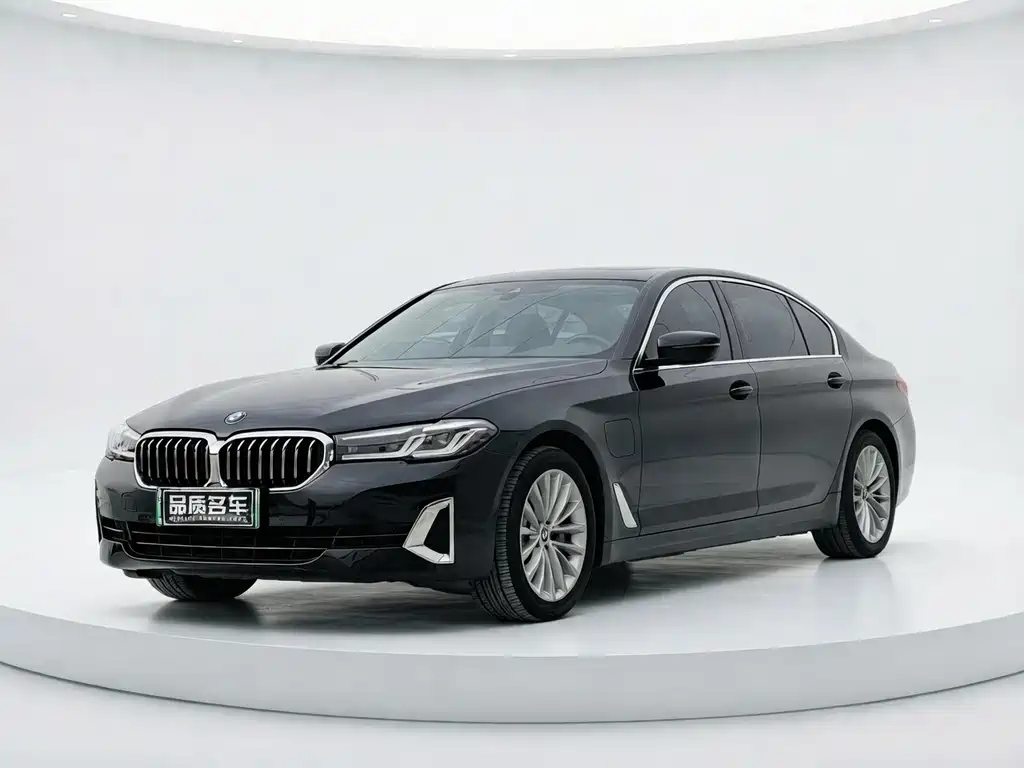 BMW 5 Series New Energy 2021