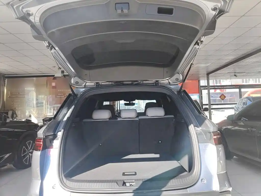 BYD Pro New Energy — миниатюра 19