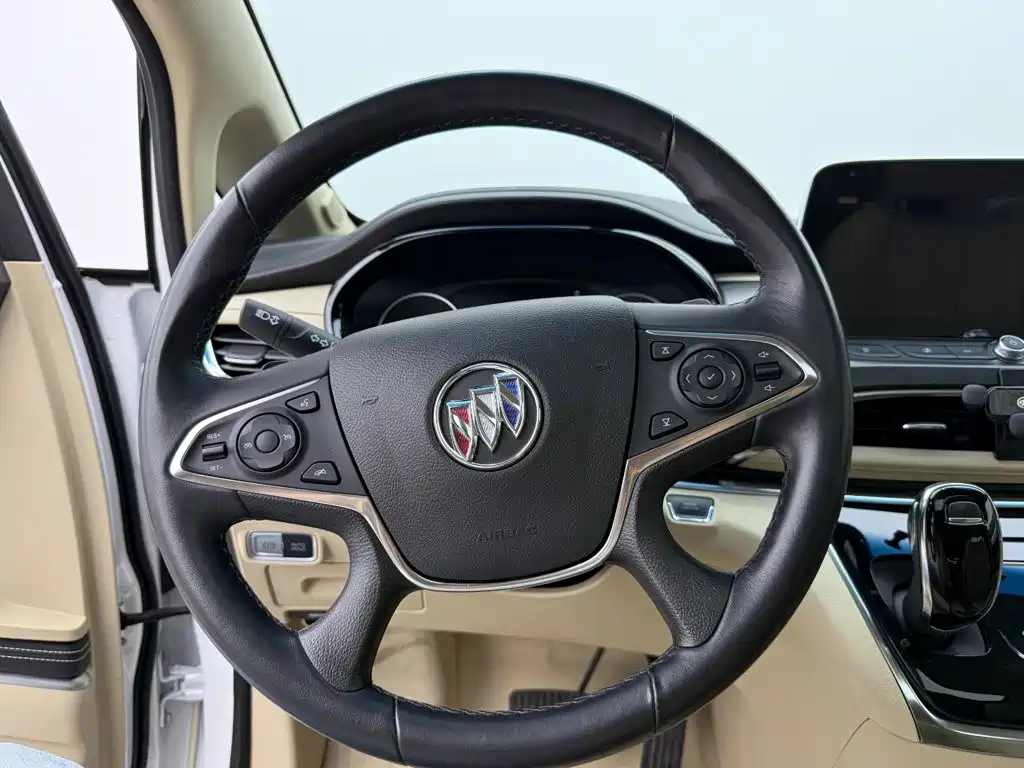 Buick GL8 — миниатюра 12
