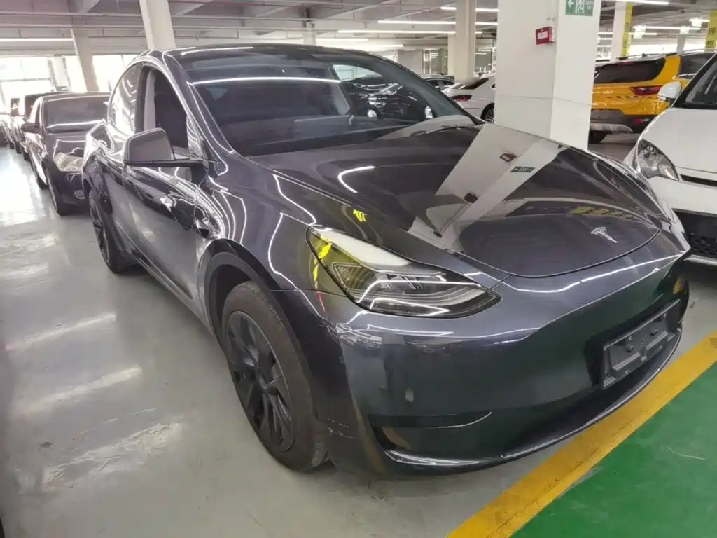Tesla Model Y — миниатюра 4