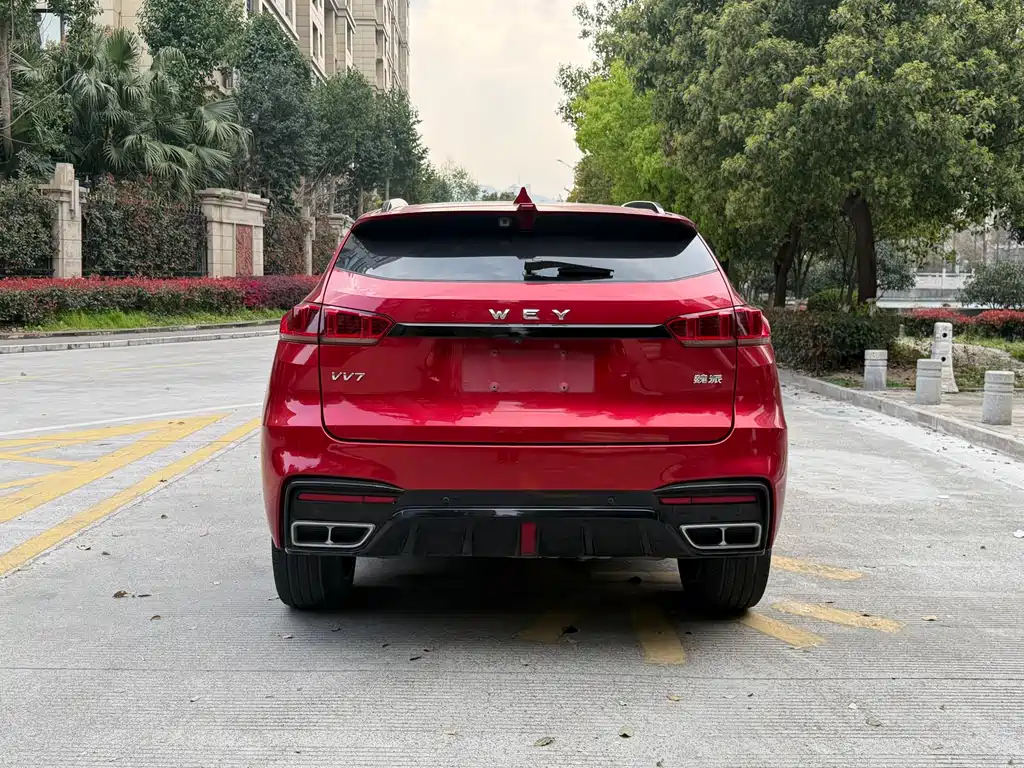 WEI PAI WEI BRAND VV7