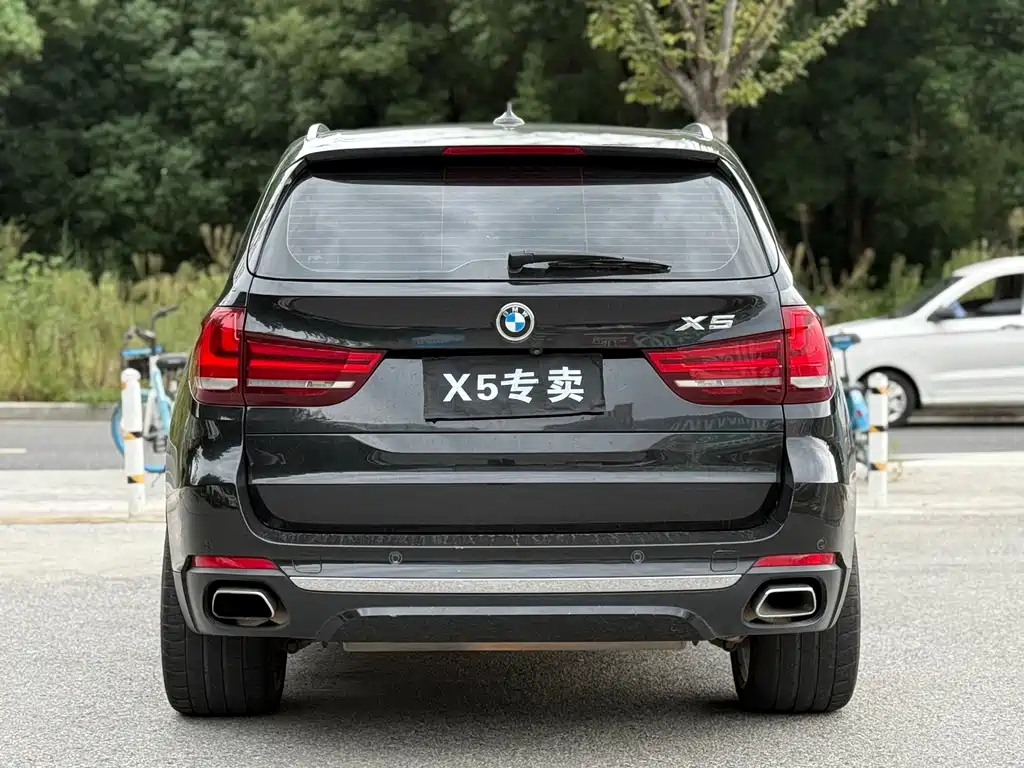 BMW X5 (Import) — миниатюра 5