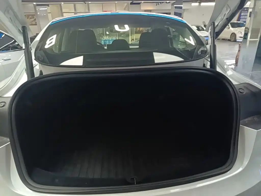 Tesla Model 3 — миниатюра 19
