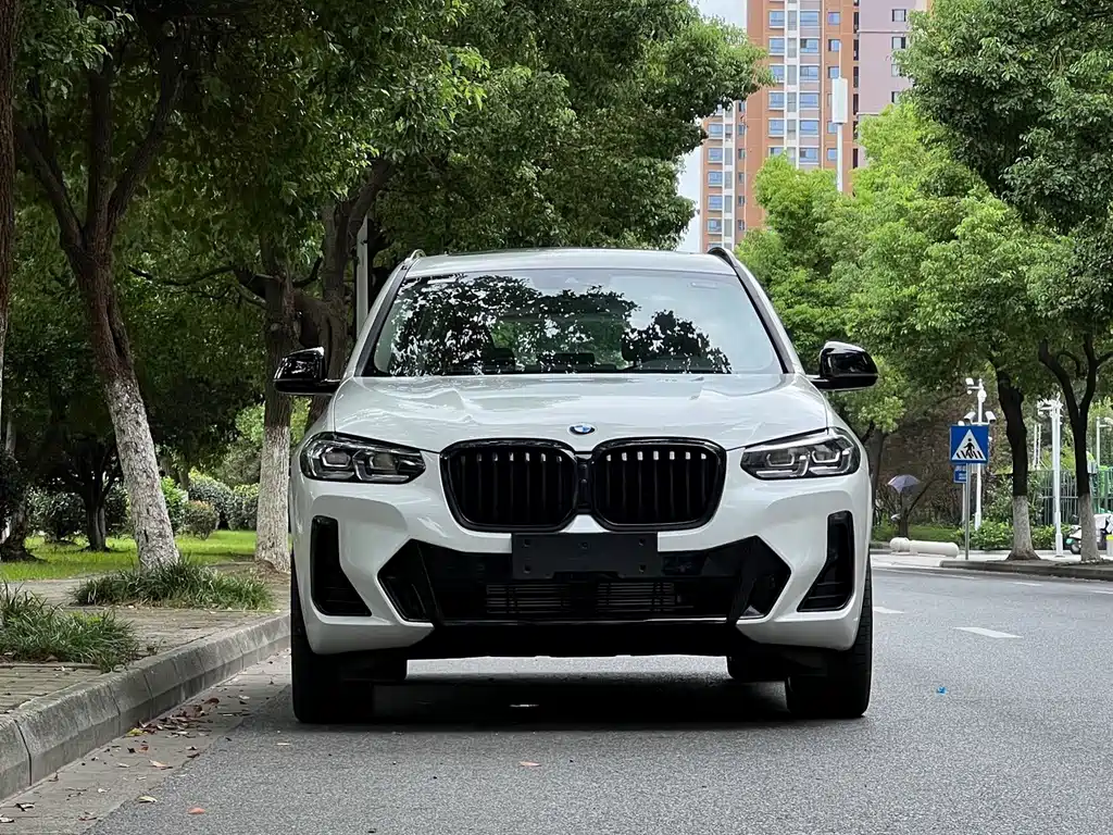 BMW X3 — миниатюра 2