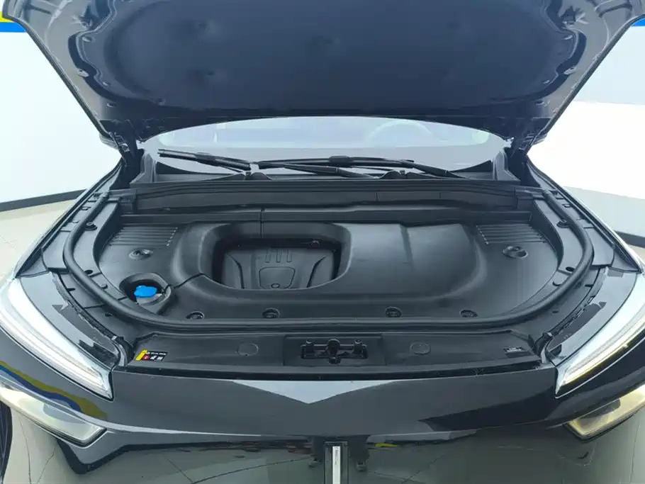 WEI PAI WEI BRAND BLUE MOUNTAIN