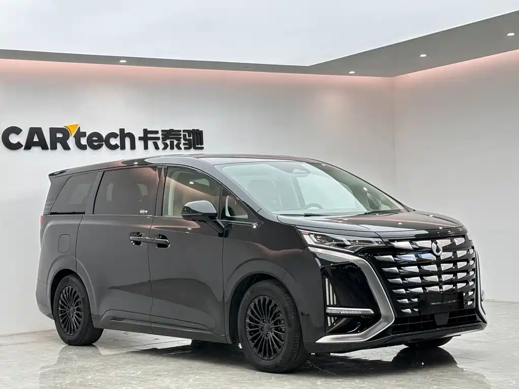 Denza Denza D9 — миниатюра 6