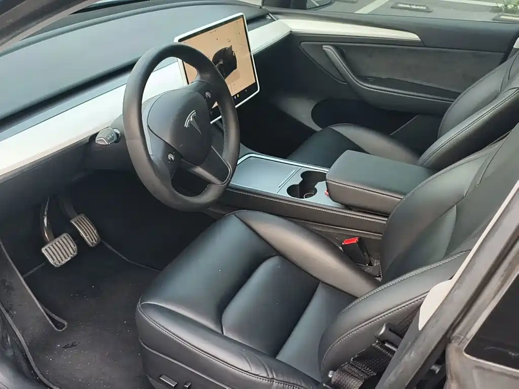Tesla Model Y — миниатюра 8
