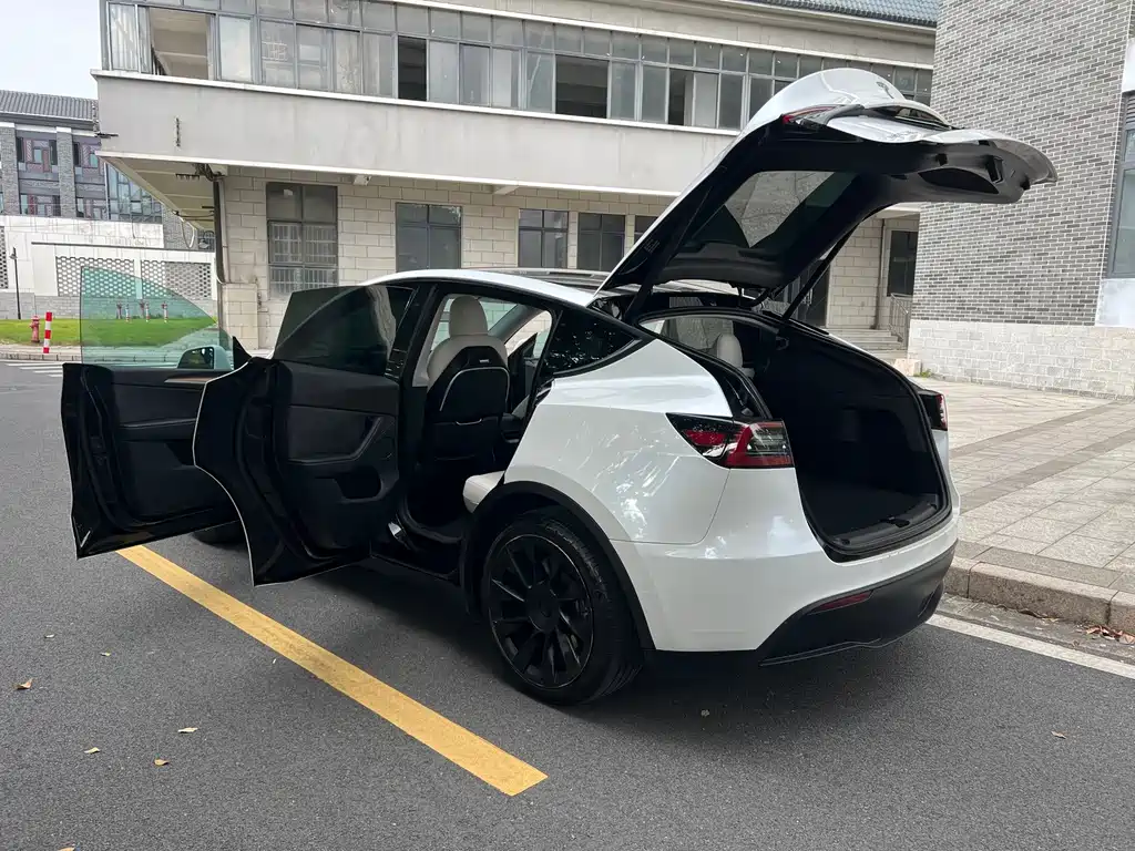 Tesla Model Y — миниатюра 23