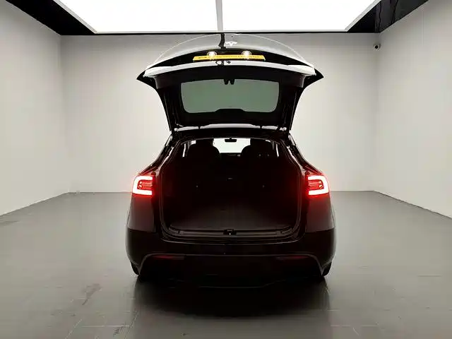 Tesla Model Y — миниатюра 15