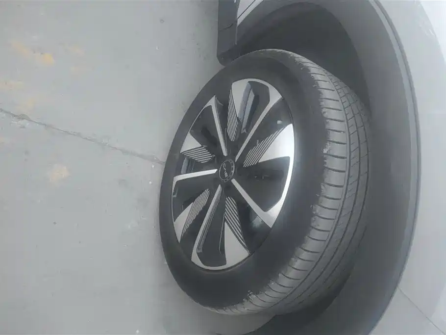 BYD SONGJIANG NEW ENERGY