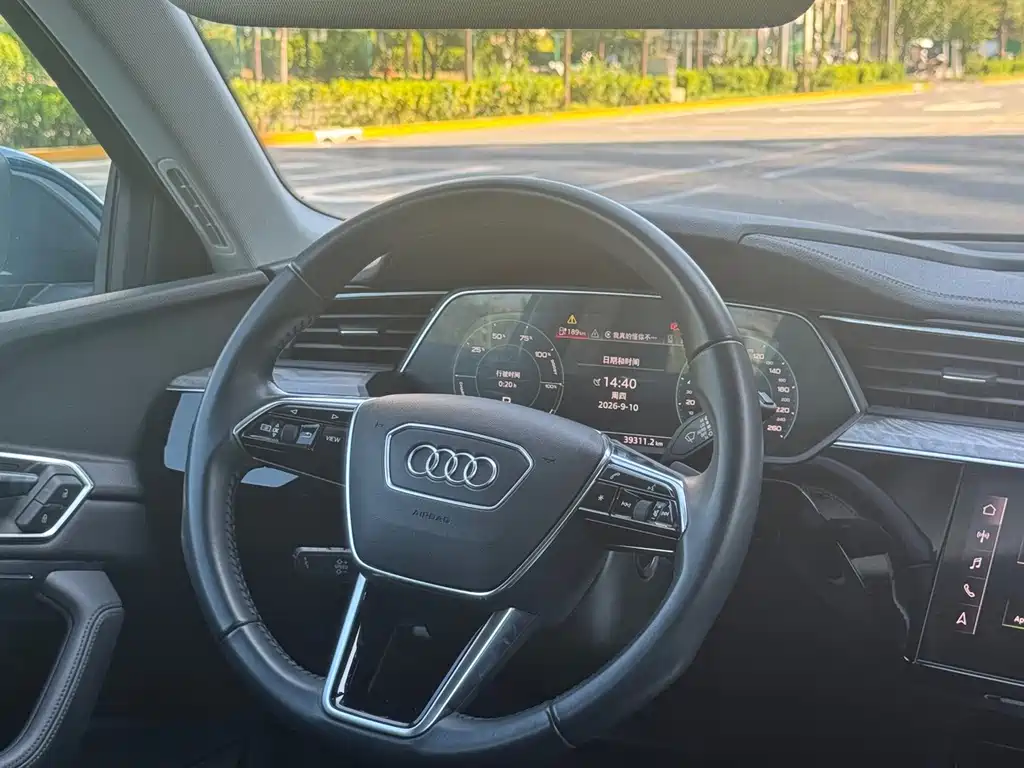 Audi e-tron (Import) — миниатюра 24