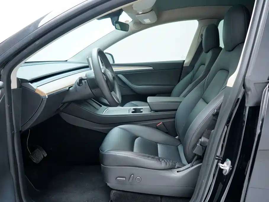 Tesla Model Y — миниатюра 4