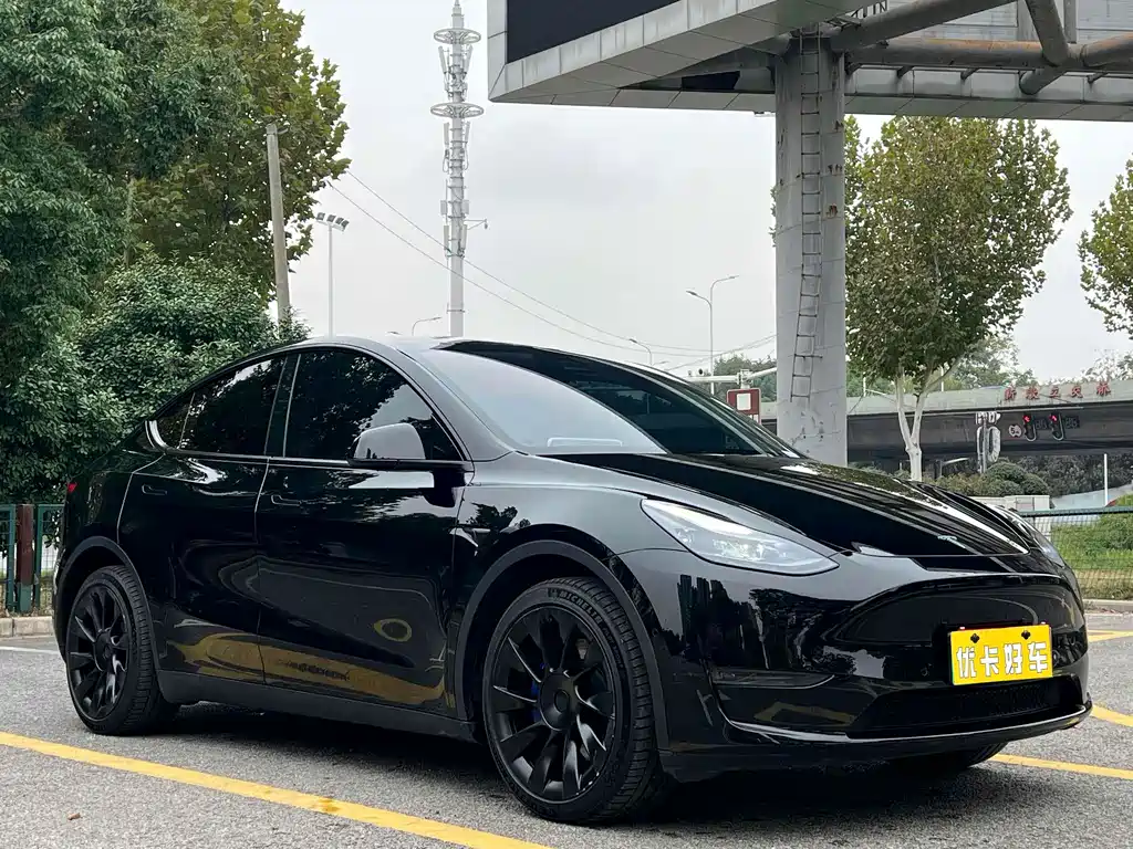 Tesla Model Y — миниатюра 2