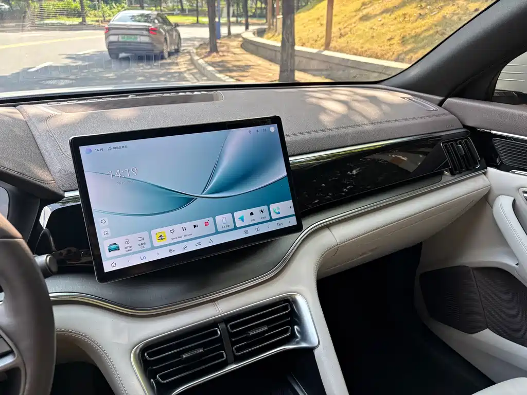 BYD PLUS New Energy — миниатюра 16