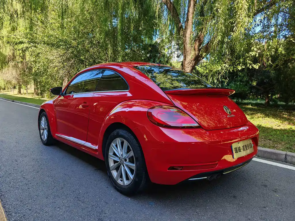 Volkswagen Beetle — миниатюра 14