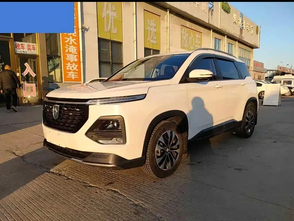 BAOJUN 530