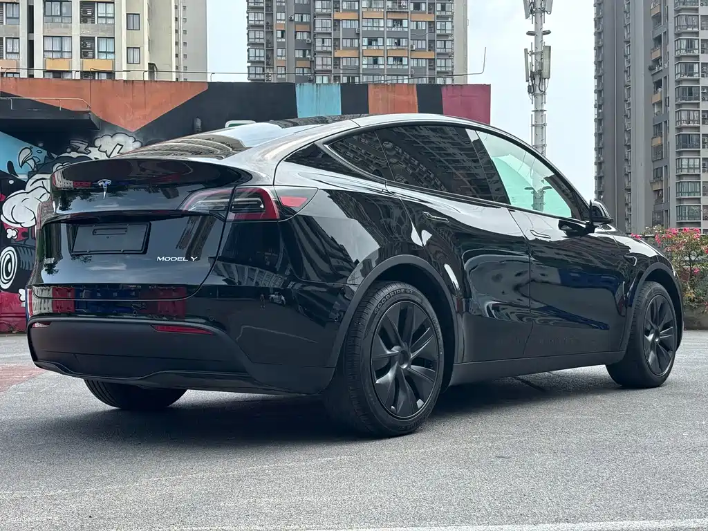 Tesla Model Y — миниатюра 4
