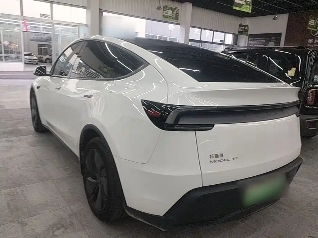 Tesla Model Y — миниатюра 5