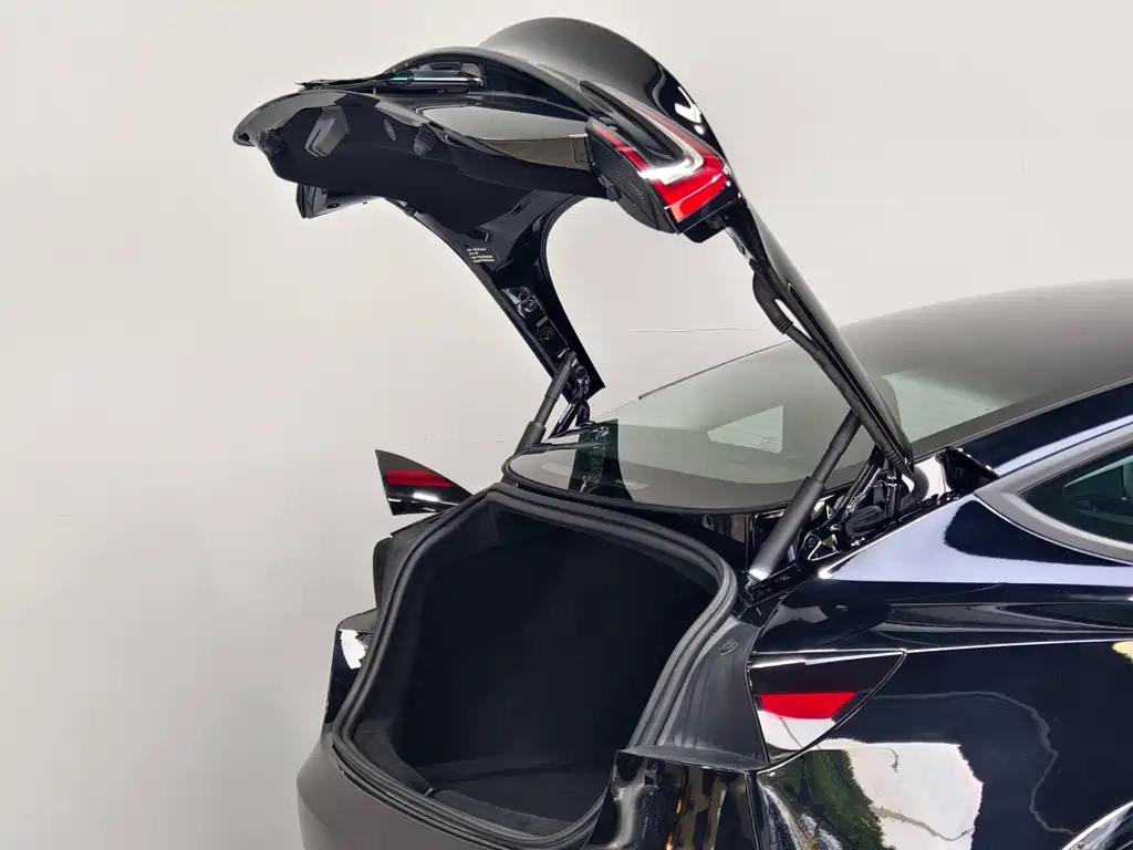 Tesla Model 3 — миниатюра 19