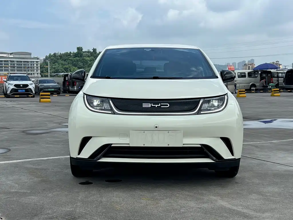 BYD Dolphin 2023 420km Fashion