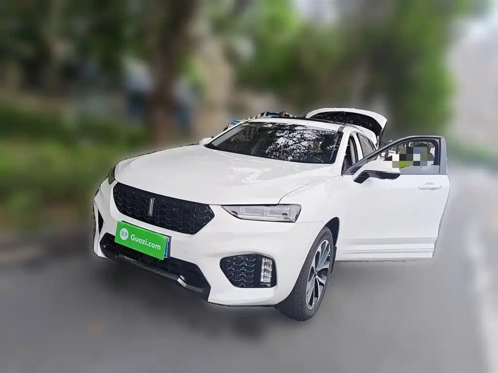 Купить Wey Wey VV7