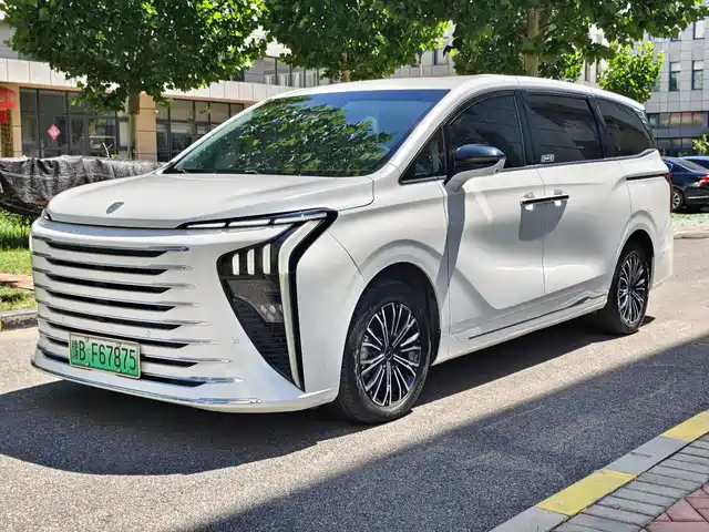 2024 Forthing Xinghai V9