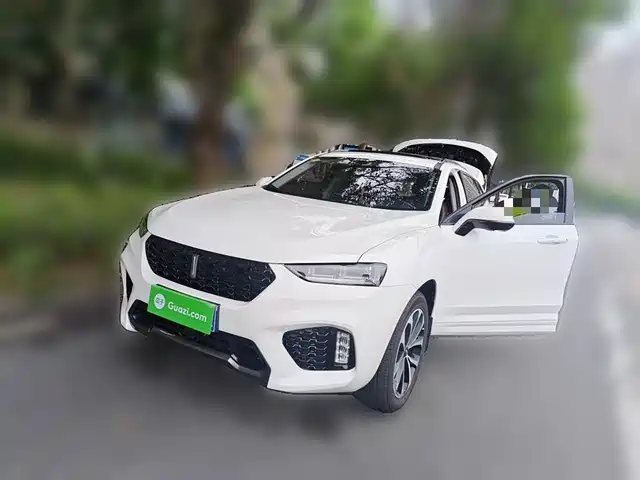 2018 Wey VV7