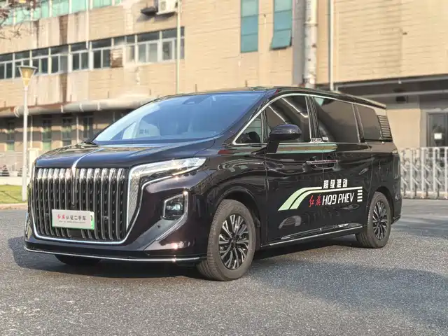 2024 Hongqi HQ9