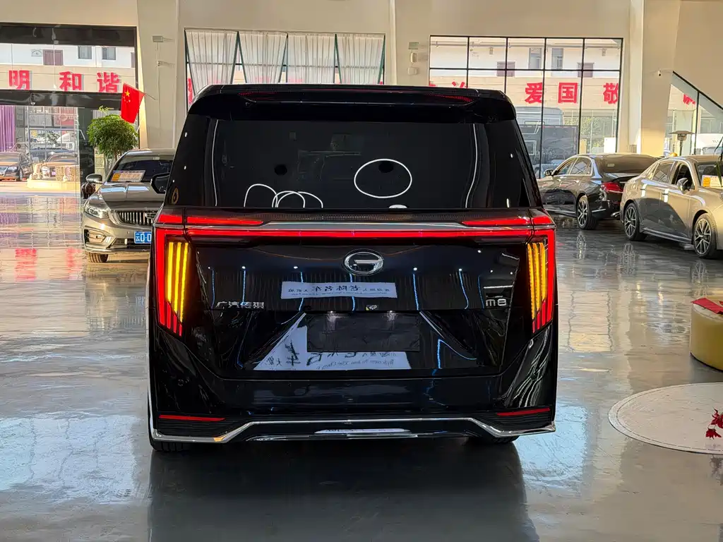 GAC Motor Trumpchi M8 — миниатюра 10