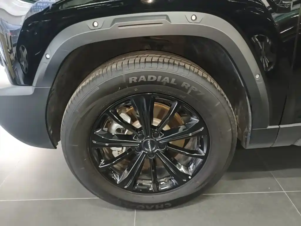 Haval Menglong New Energy — миниатюра 23