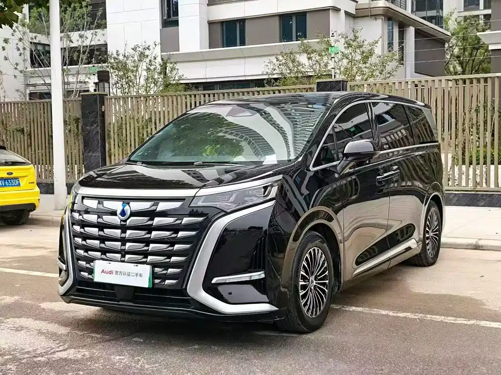 Denza Denza D9