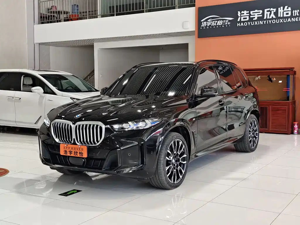 BMW X5 2024