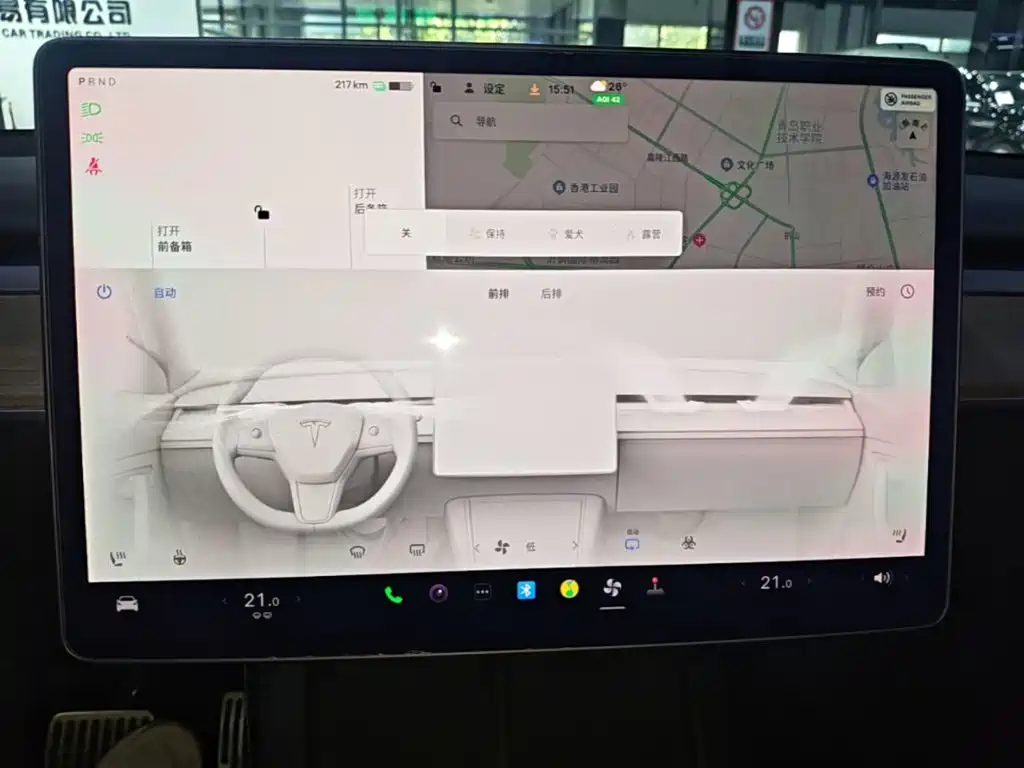 Tesla Model Y — миниатюра 13