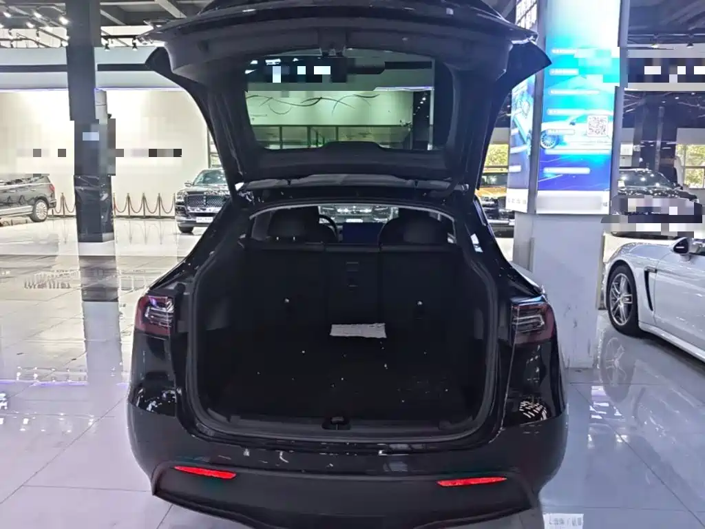 Tesla Model Y — миниатюра 19