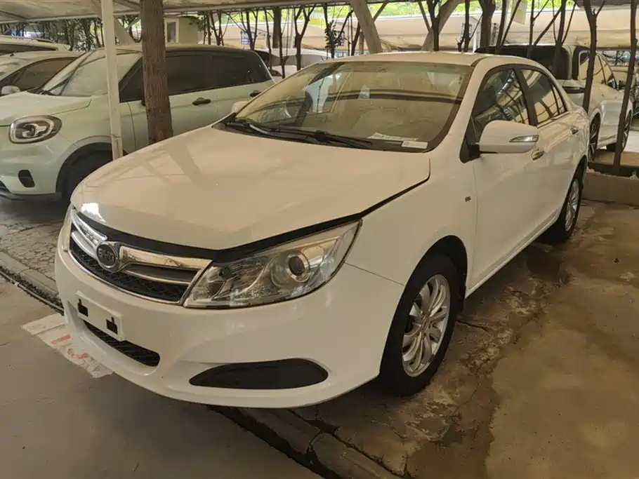 Byd Surui 2014