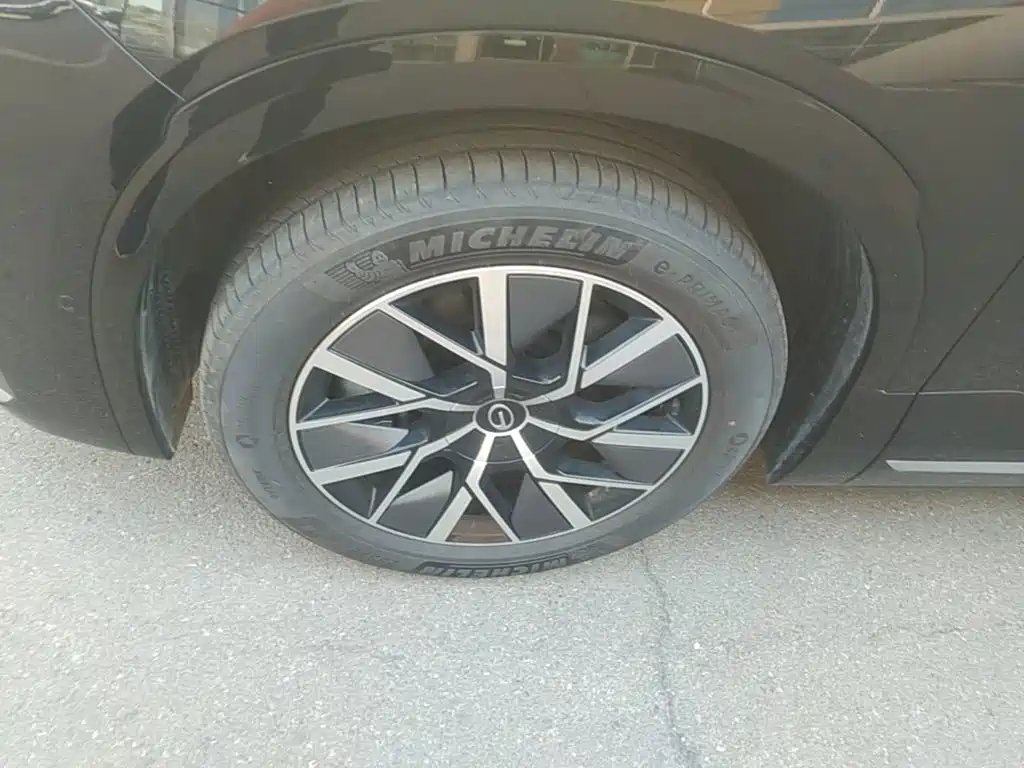 GAC Motor Trumpchi Xiangwang S9 — миниатюра 23