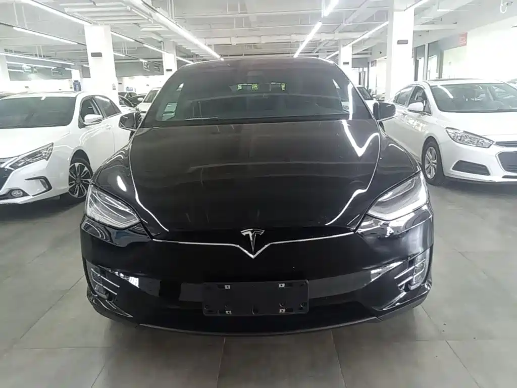 Tesla Model X — миниатюра 3