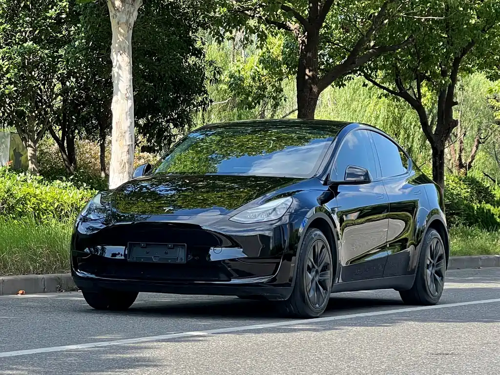 Tesla Model Y — фотографии объявления, Фото 2
