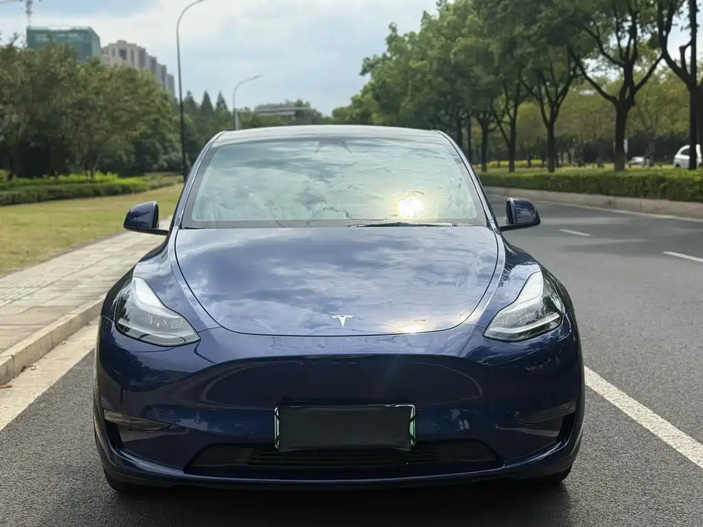 Tesla Model Y — миниатюра 2