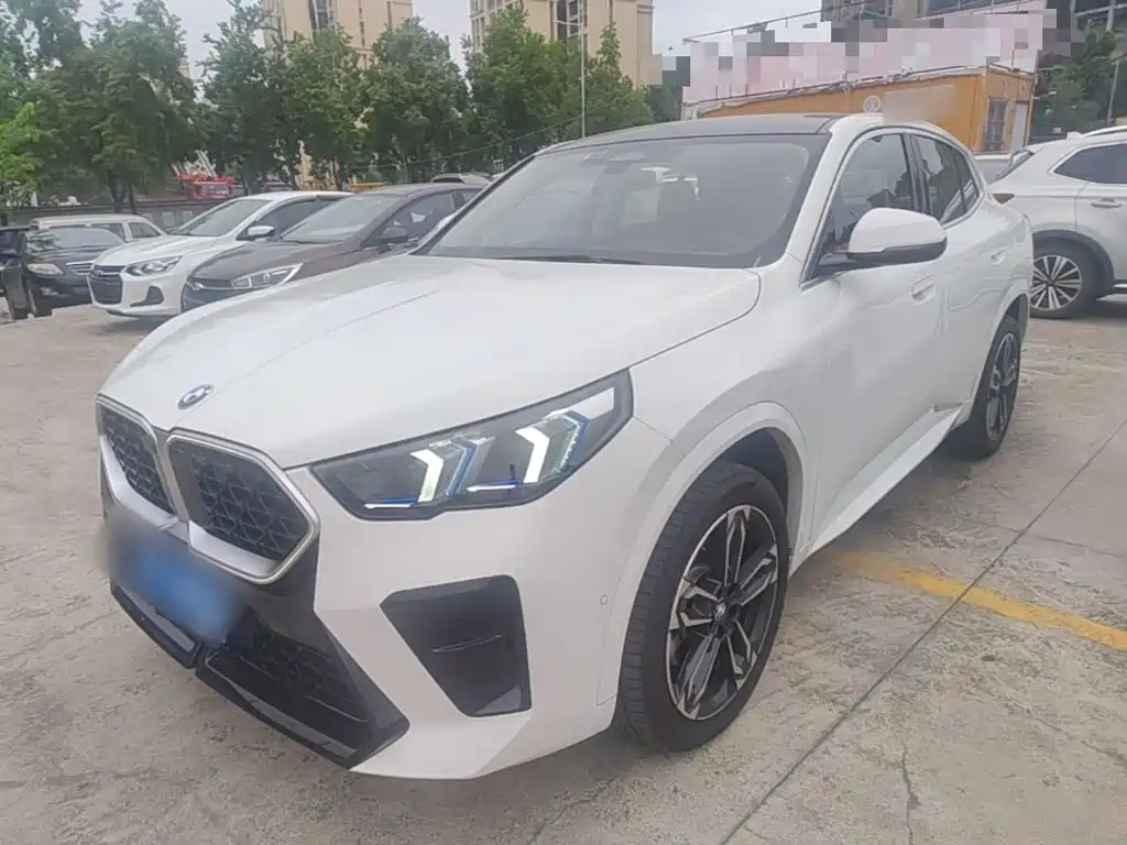 BMW X2 (Import) — миниатюра 2