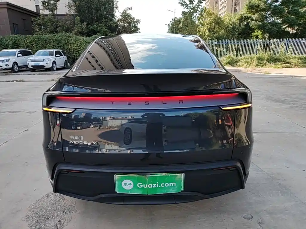 Tesla Model Y — миниатюра 6
