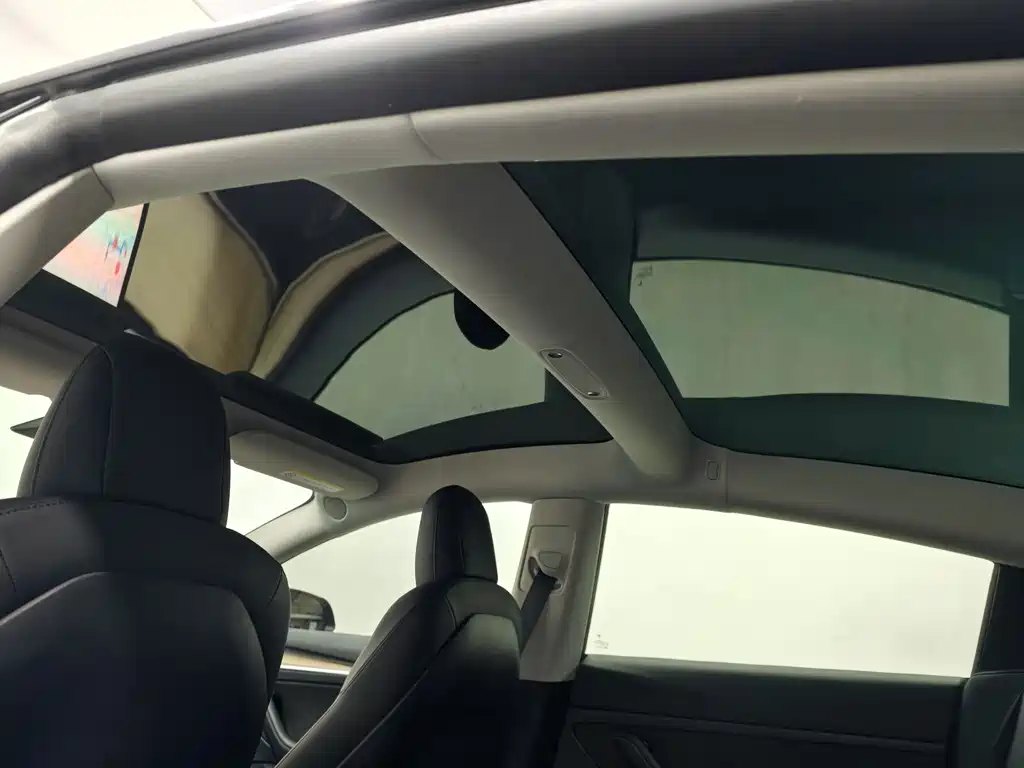 Tesla Model 3 — миниатюра 21