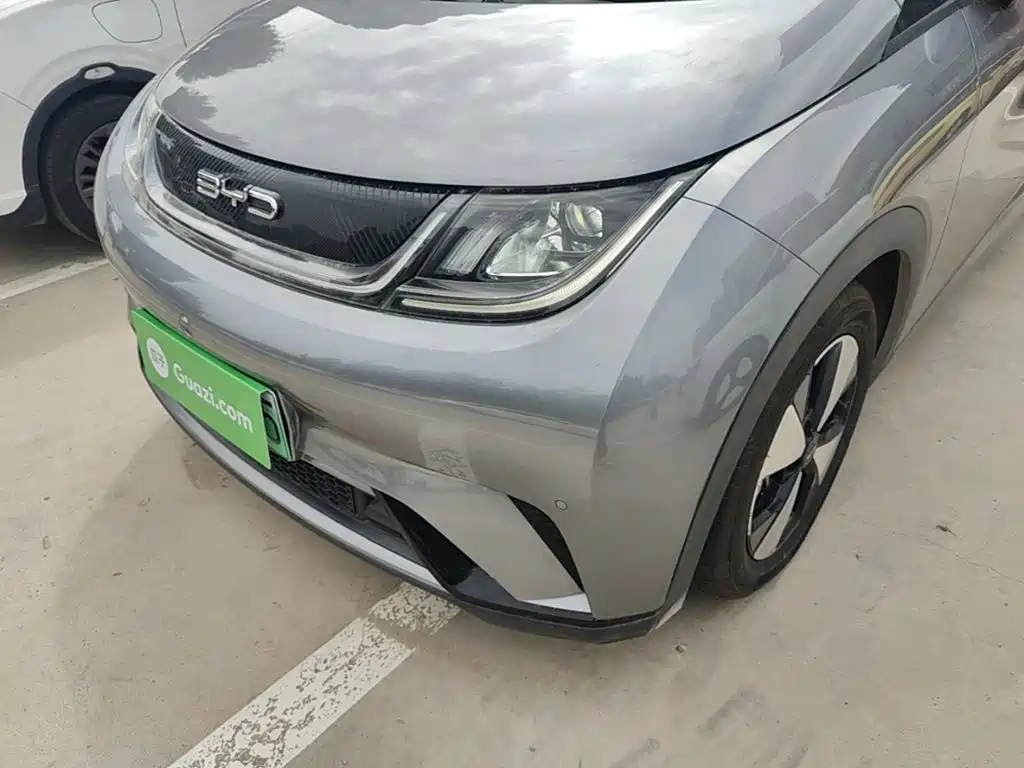 BYD Dolphin — миниатюра 24