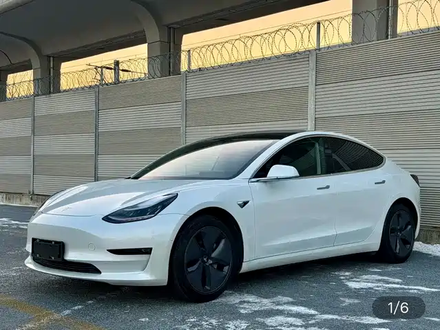 TESLA MODEL 3 2019