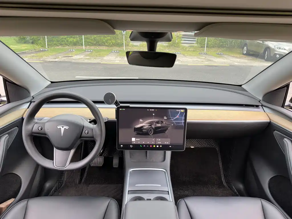 Tesla Model Y — миниатюра 4